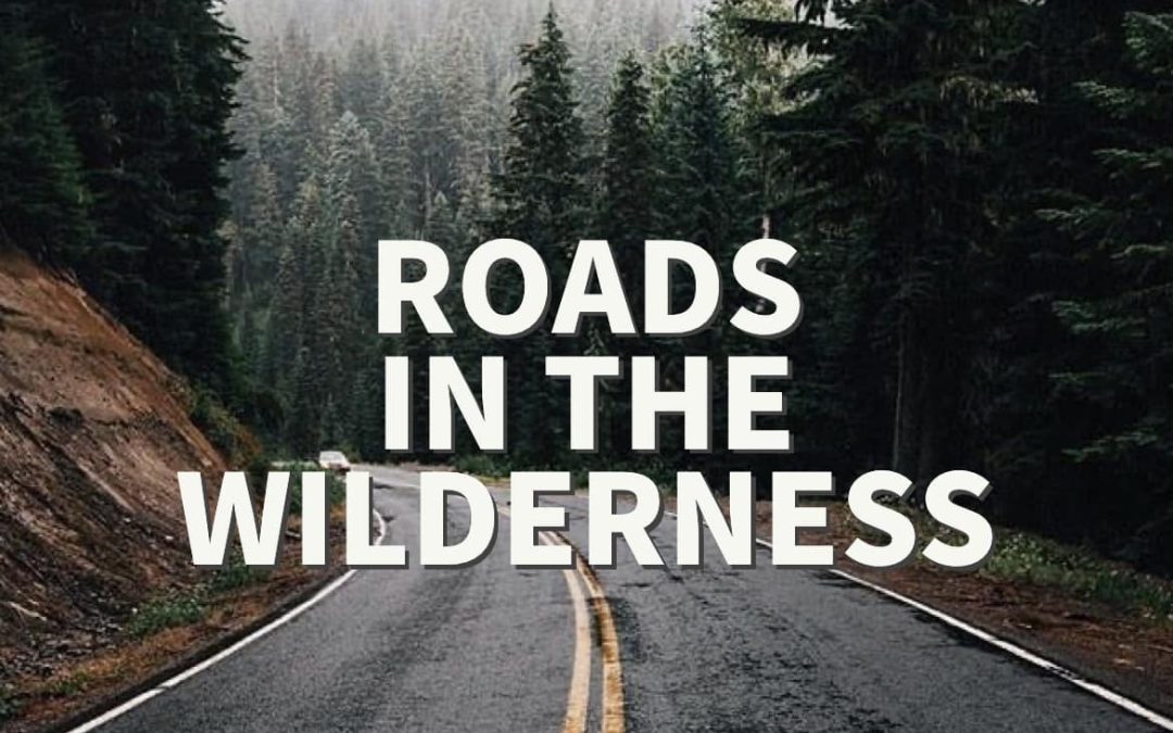 Roads in the Wilderness
